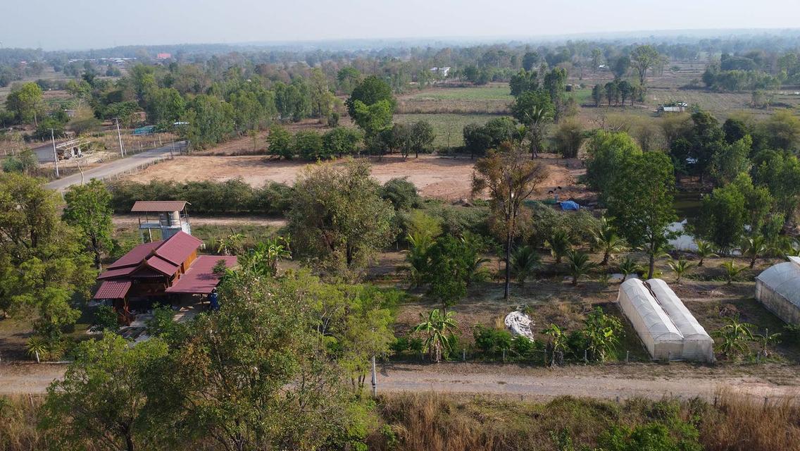 บ้านสวนเรือนไทยเนื้อที่ 2 ไร่ 5