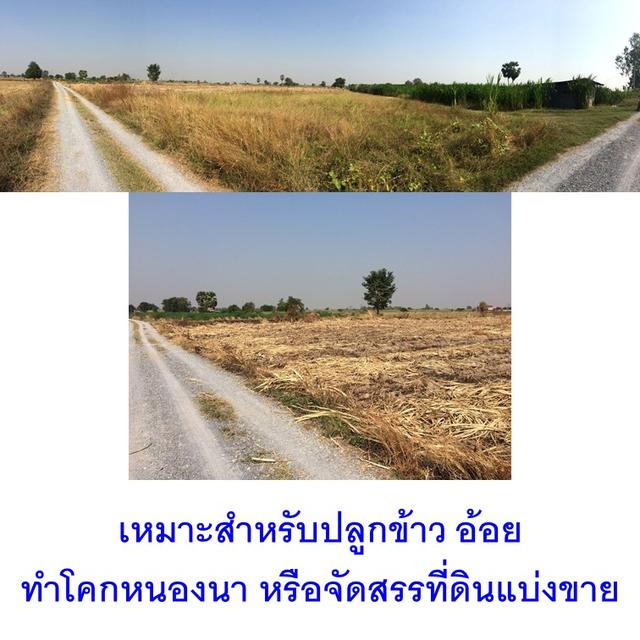 ที่ดิน 3