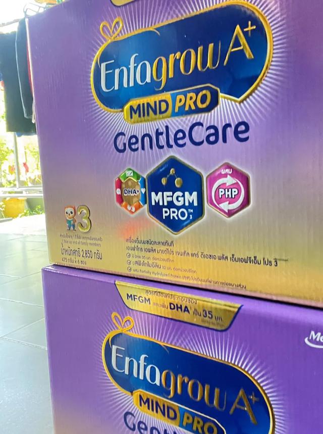 Enfalac A+ MindPro Gentle Care DHA+ MFGM Stage 2