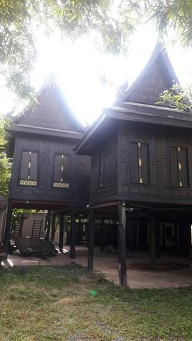ขายถูกที่ดินทำเลทองพร้อมบ้าน 12 หลัง+เรือนไทย 1 หลัง รังสิตคลอง7 เนื้อที่ 3-0-85 ไร่ ขายยกแปลง 35 ล้าน ธัญบุรี ปทุมธานี 12110 10