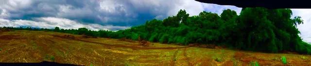 ที่ดินพรีเมี่ยม 14 ไร่ เชียงราย (สิงห์ปาร์ค) น้ำไม่ท่วม 6