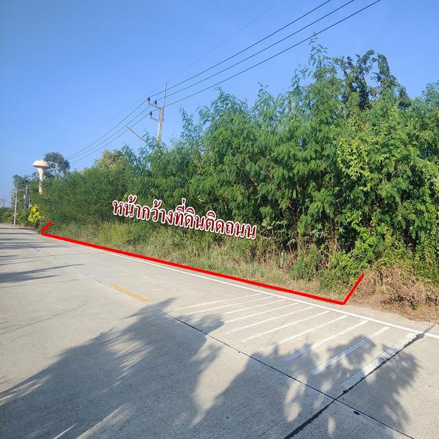 ขายที่นา10ไร่ หนองเสือ คลอง9 ปทุมธานี ถนนคอนกรีต2เลนส์ 12M 2