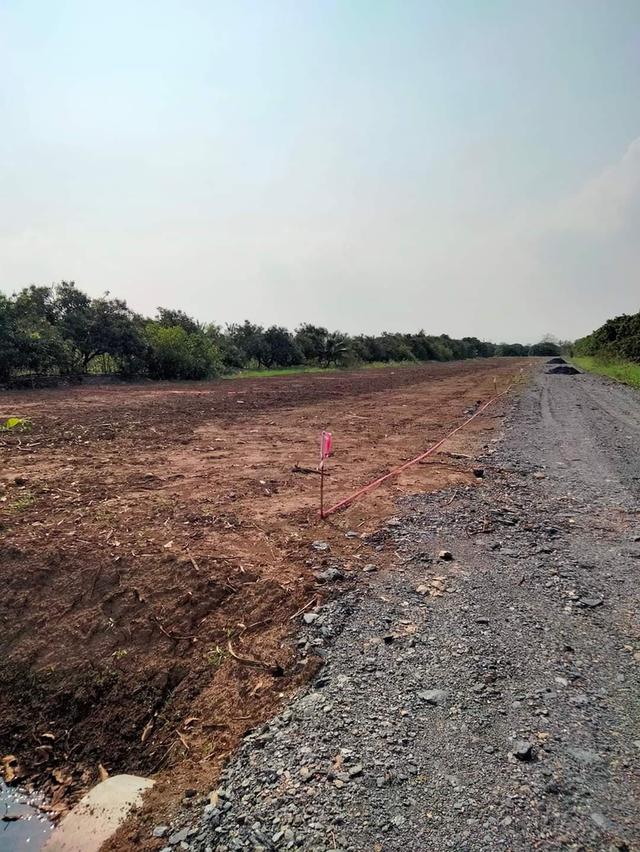 ขายที่ดินต.สันทรายอ.สารภีจ.เชียงใหม่ 100ตรว. 11