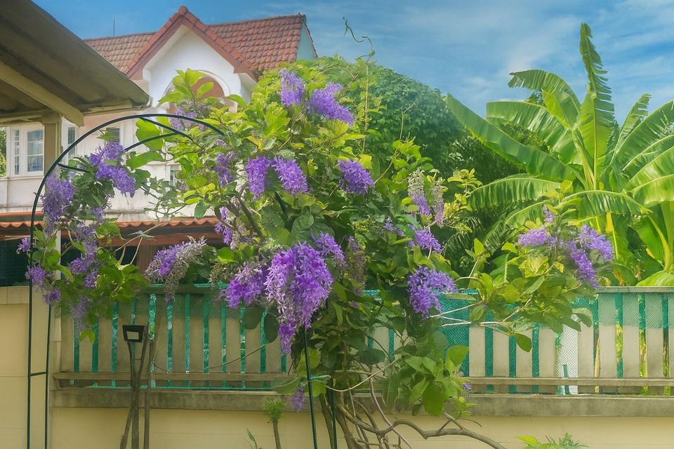 บ้านมือสอง น้ำไม่ท่วม ตั้งแต่ ปี 54 บ้านทาวน์เฮ้าส์ ร่มเกล้า ซอย 6 เนื้อที่ 34 วา บ้านสองชั้น ราคา 2.35 ต่ำกว่าราคาประเมิน 2.5 6