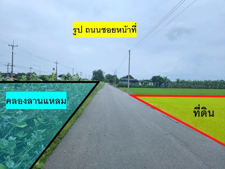 ขายที่ นครชัยศรี จ.นครปฐม 4