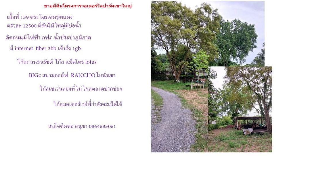 ที่ดินเขาใหญ่ปากช่องใก้ลแหล่งน้ำ 1