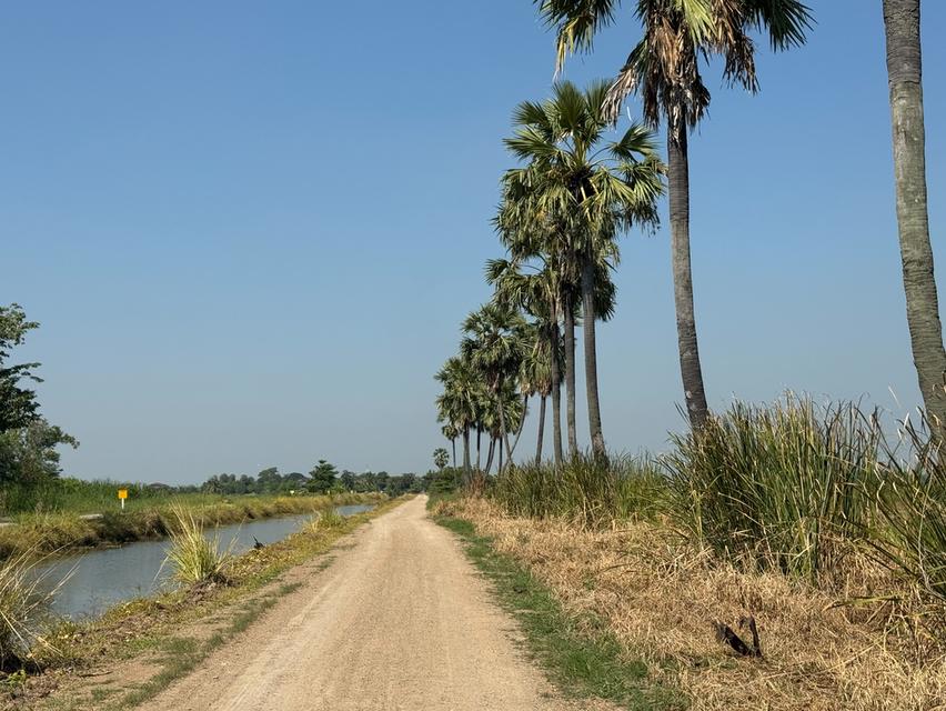 ที่ดินเปล่า หนองเสือ ปทุมธานี 2