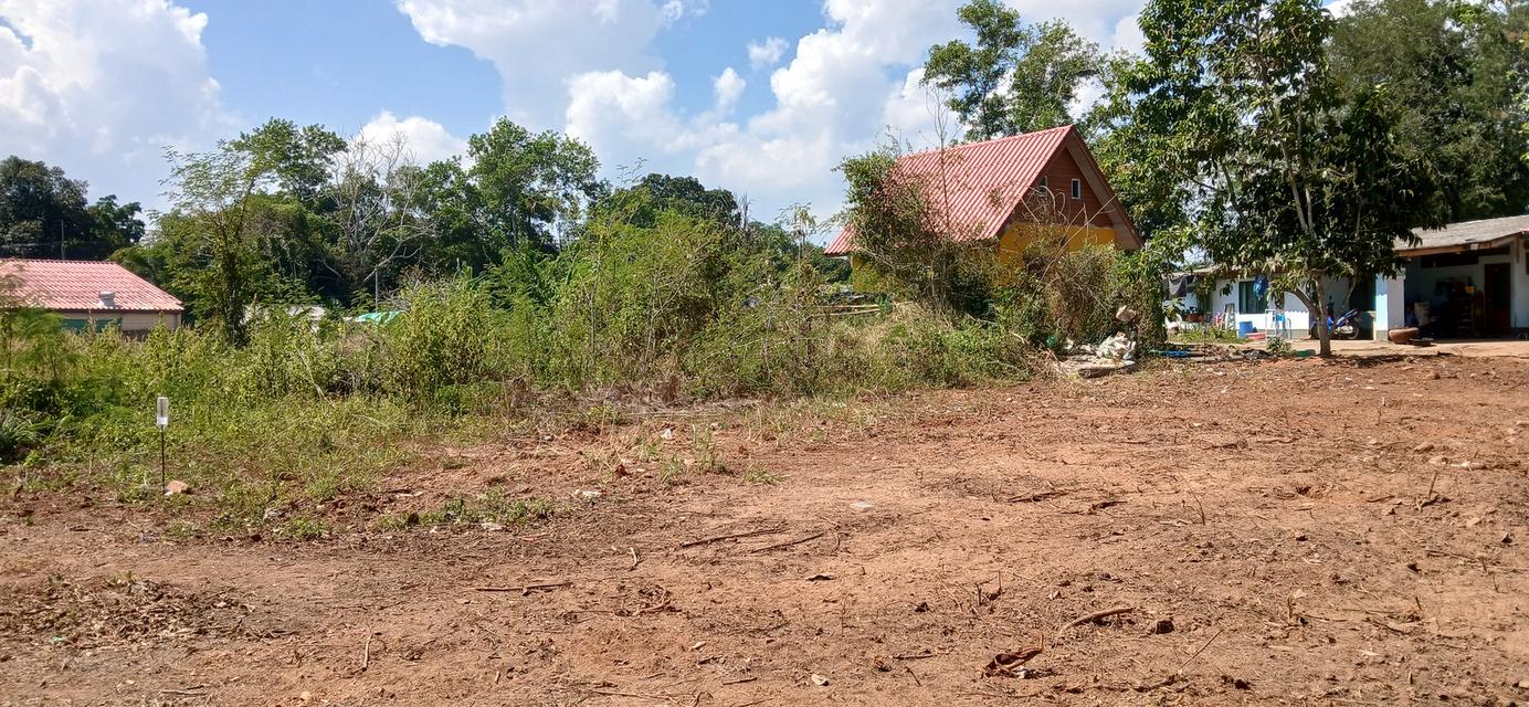 ขายที่ดินเปล่าโฉนด 1 งาน 15.9 ตร.ว. อยู่ในชุมชน ต.นาชะอัง อ.เมืองชุมพร ห่างศาลากลางจังหวัดเพียง 3 กม. ที่เนินปลอดภัยจากน้ำท่วม เจ้าของเองครับ 5