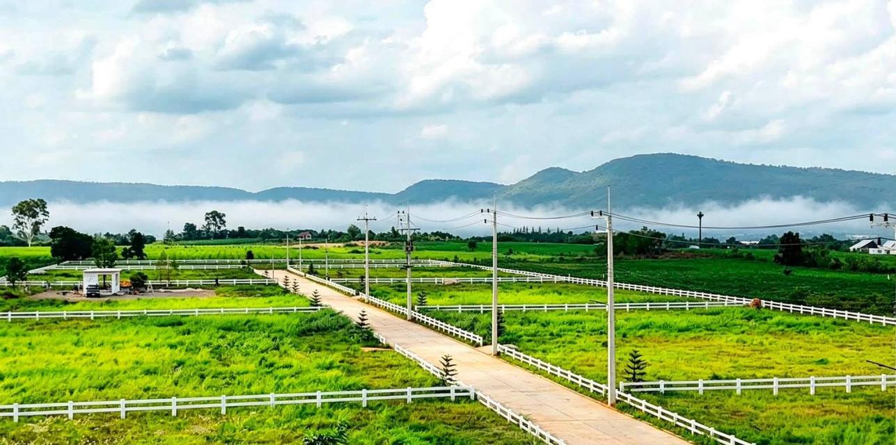 ขายที่ดินคลองม่วง เขาใหญ่ ปากช่อง 2 ไร่ วิวเขาสวยมาก น้ำไฟพร้อม เดินทางสะดวก ไม่เปลี่ยว ทางไป My ozone Movenpick ใกล้เส้น 2235 The paz น้ำไม่ท่วม 1