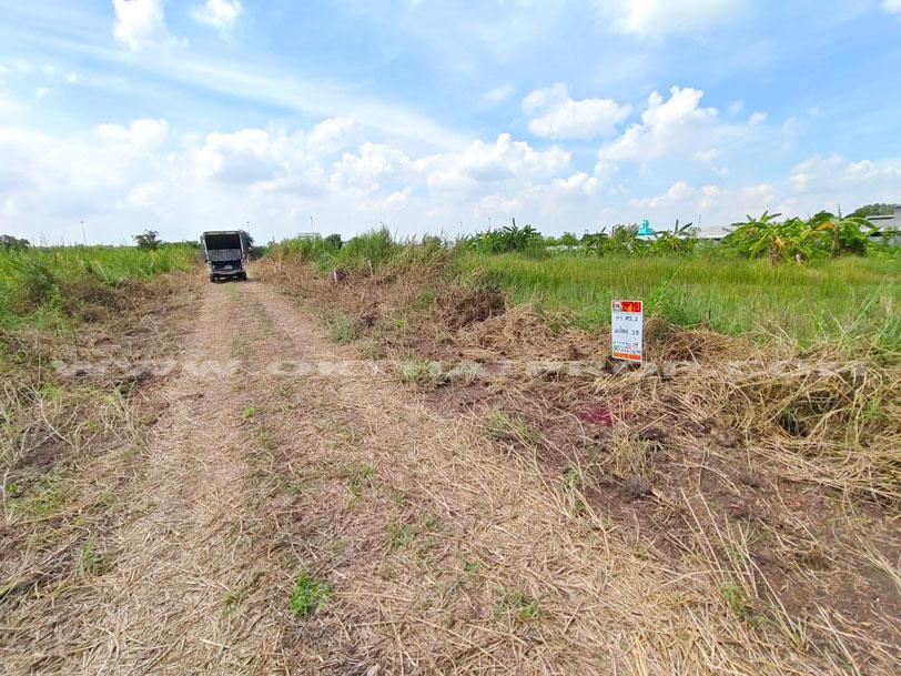 ที่ดินจัดสรรล็อคที่ 18 ถ.346 ต.หน้าไม้ อ.ลาดหลุมแก้ว จ.ปทุมธานี 1