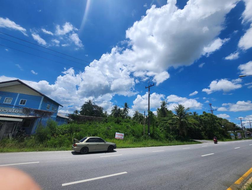 ขาบที่ดินติดถนนนครศรี-ปากพนัง 10