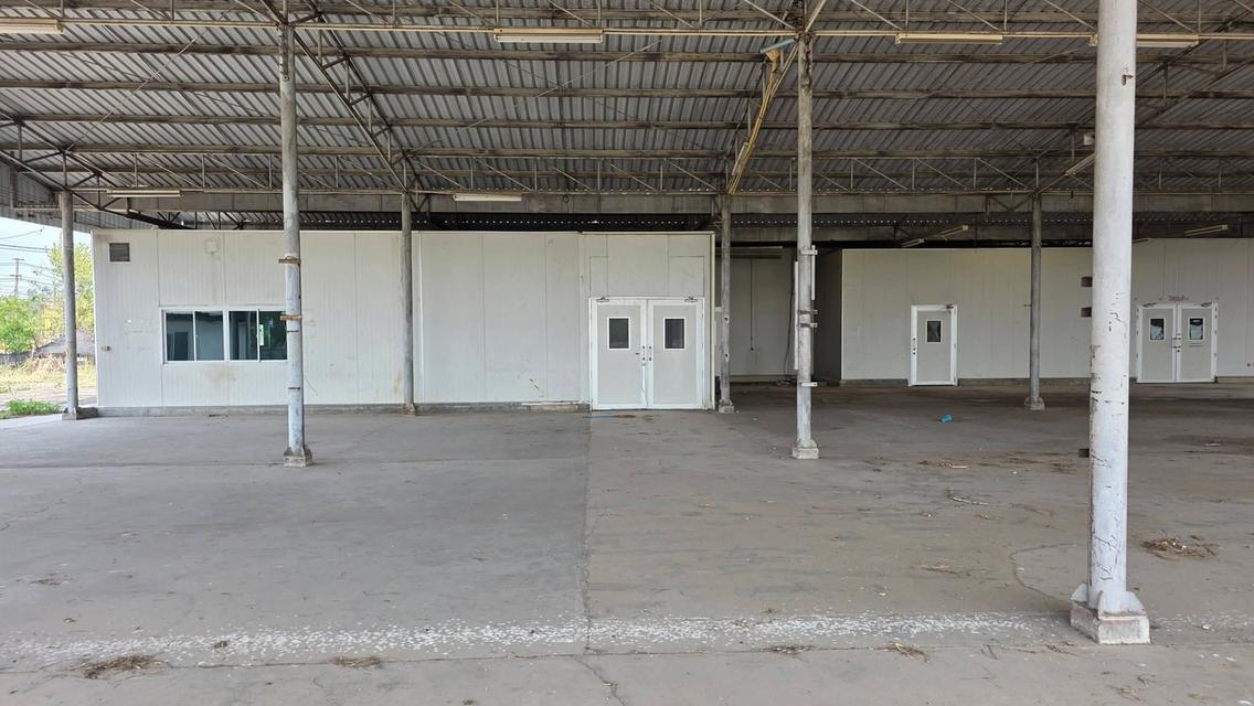 ขายโกดัง Isowall 1,600 ตร.ม. ติดถนนใหญ่ป่าซาง-ลำพูน สภาพพร้อมใช้งานได้ทันที 11