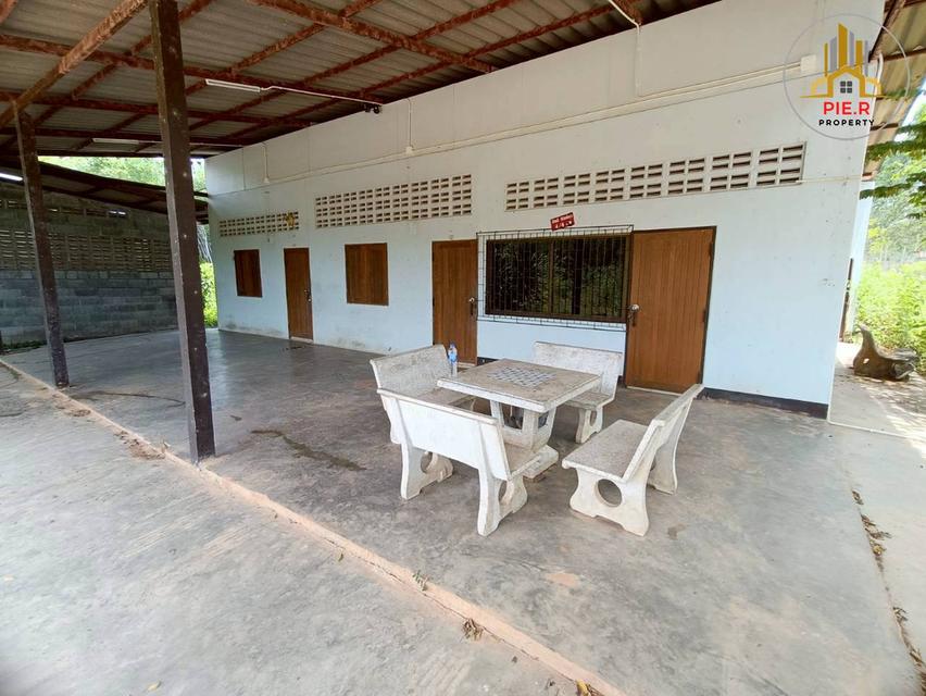 ลงทุนเพื่ออนาคต! ที่ดิน41-369ไร่ อ.เมืองระยอง l ใกล้ถ.สุขุมวิท(เดินทางเชื่อมต่อไปตัวเมืองระยองสะดวก) 8