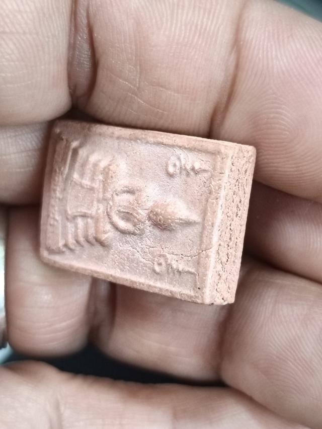 พระหางหมากหลวงพ่อฤาษีลิงดำ รูปที่ 5