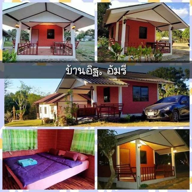 ปล่อยเช่ารายเดือน 2,000-3,000บาท มีเฟอร์นิเจอร์ 3