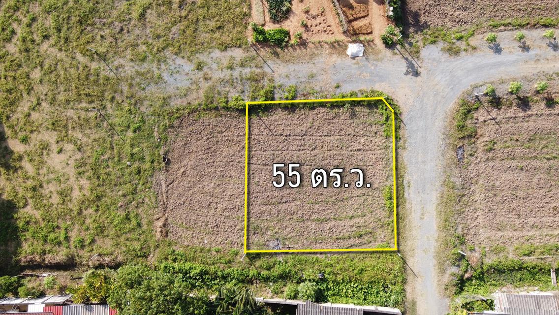 ขายที่ดิน 55 ตร.ว. วิวดอยสวย น้ำไฟดึงได้ไม่ไกล อ.แม่ออน 4