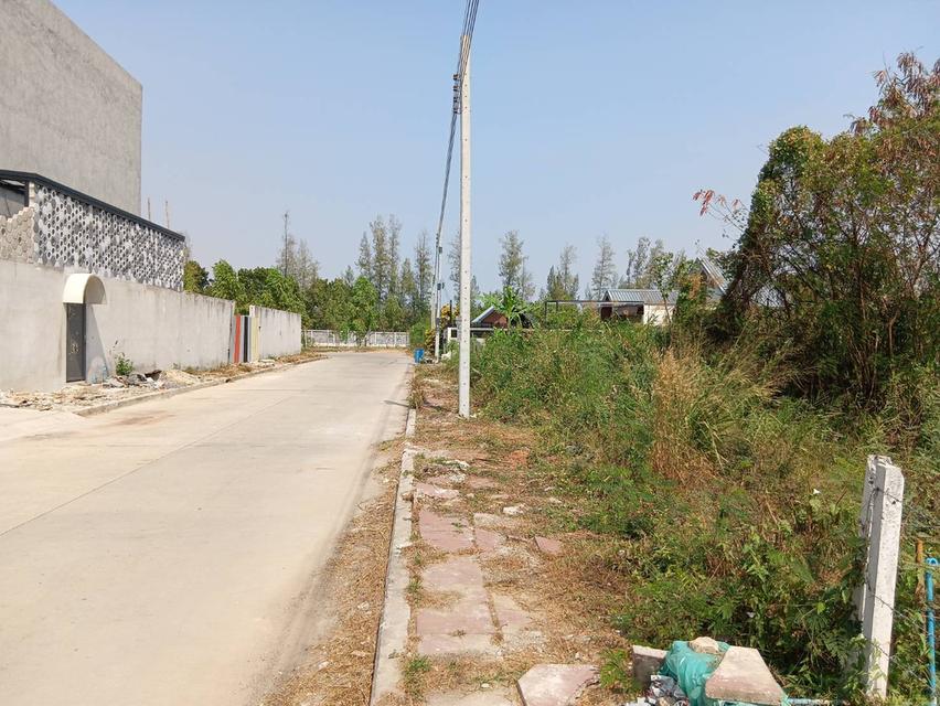 ที่ดิน 56.1 ตารางวา ถมแล้ว ซอยเฉลิมพระเกียรติ 39/2 ติดสวนหลวงร 9 เขตประเวศ กรุงเทพฯ 2