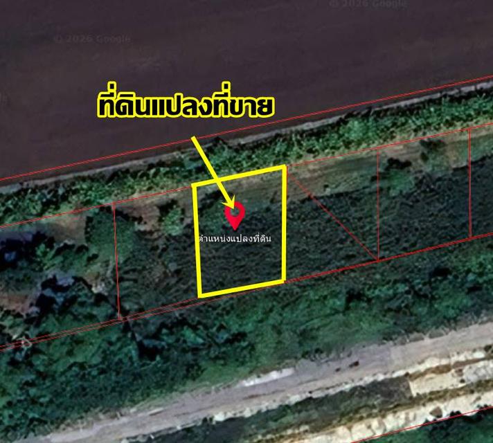 ขายที่ดินเปล่าคลอง10 หนองเสือ ใกล้วัดแสงมณี 6