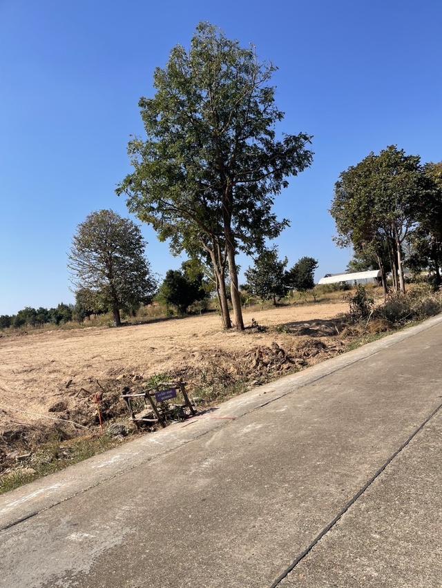 ที่ดินเปล่าใกล้สนามบินนานาชาติขอนแก่น ห่างจากถนนเลี่ยงเมือง ขอนแก่น-อุดร เพีียง 500 เมตร 1