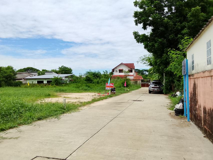 ขายที่ดิน 50 ตรว.อุทัยธานี