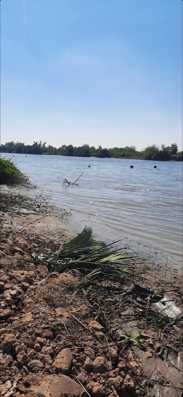 ที่ดินวิวแม่น้ำบางปะกง 50 ไร่ หน้ากว้าง 100 เมตร ราคาถูก 8