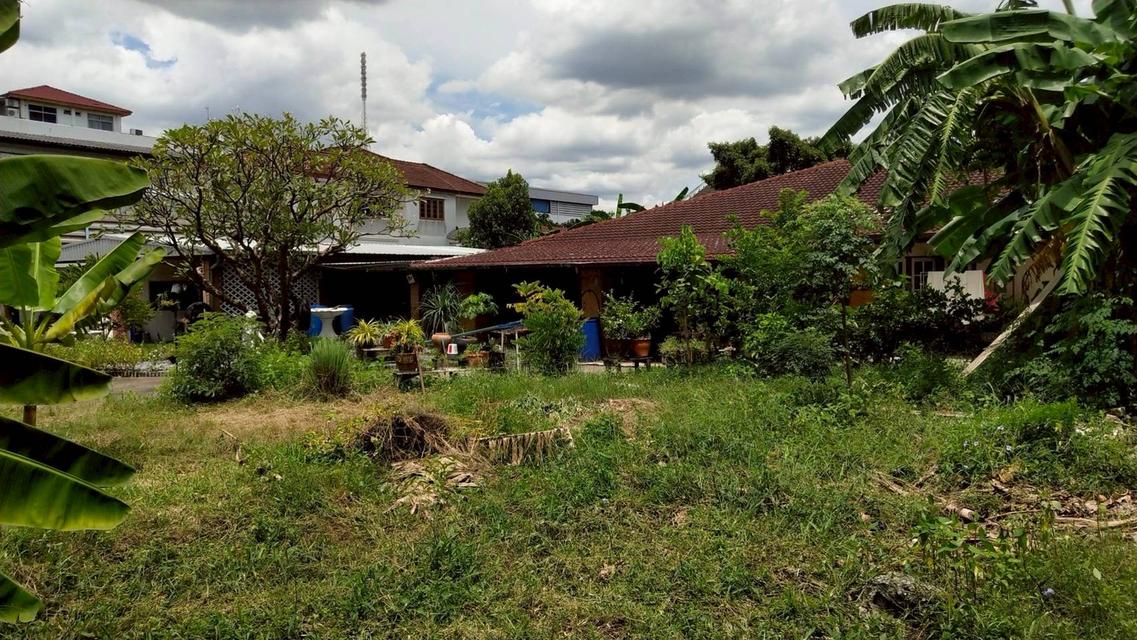 ขายที่ดินพร้อมสิ่งปลูกสร้าง แปลงมุม เนื้อที่ 336 ตรว. ซอยลาดพร้าว 107 แยก 2 แขวงคลองจั่น เขตบางกะปิ กทม. 9