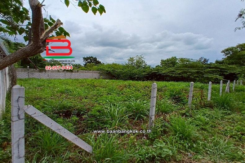 ที่ดินเปล่า ซอยหัวหิน 25 เนื้อที่ 146 ตร.ว (ใกล้ท่าอากาศยานหัวหิน) ตำบลหัวหิน อำเภอหัวหิน จังหวัดประจวบคีรีขันธ์ 7