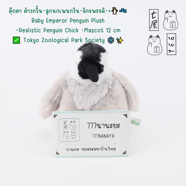 ตุ๊กตา ต้าวกวิ้น・ลูกนกเพนกวิน・จักรพรรดิ・=͟͟͞🐧💤 Baby Emperor Penguin Plush・Realistic Penguin Chick ・Mascot 12 cm ✅ Tokyo Zoological Park Society ❄️✨