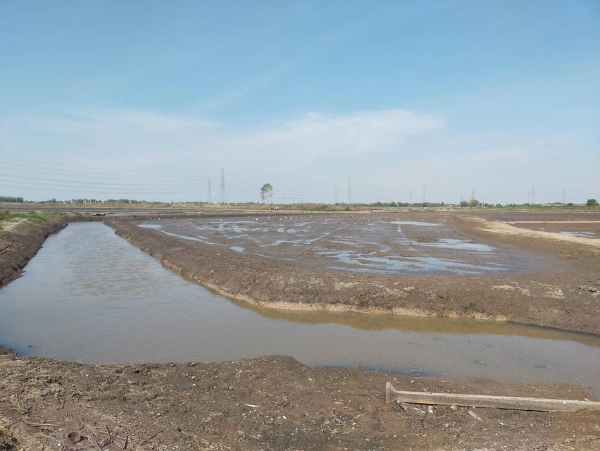 ต้องการขายที่ดิน ใกล้ทางด่วนบางปะอิน-โคราช  บางปะอิน  33 ไร่ 2 งาน 2 ตรว 8