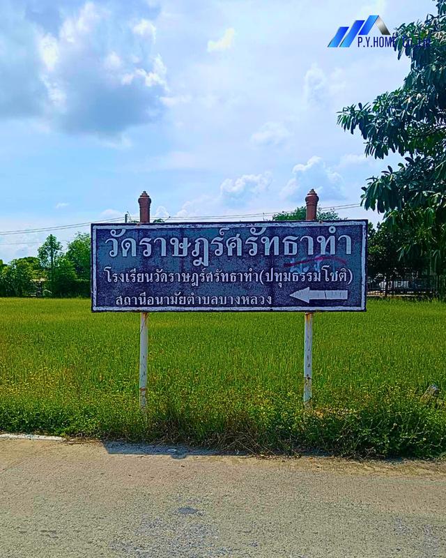 ขายที่ดินทำเลทอง บางหลวงใกล้ถนนราชพฤกษ์–346 ตัดใหม่ 7