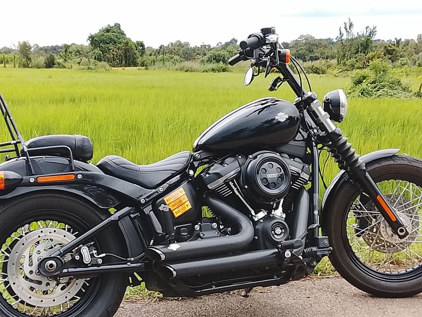 ⚫𝐇𝐀𝐑𝐋𝐄𝐘-𝐃𝐀𝐕𝐈𝐃𝐒𝐎𝐍 𝐒𝐓𝐑𝐄𝐄𝐓 𝐁𝐎𝐁  ปี 𝟐𝟎𝟏𝟗 รูปที่ 6