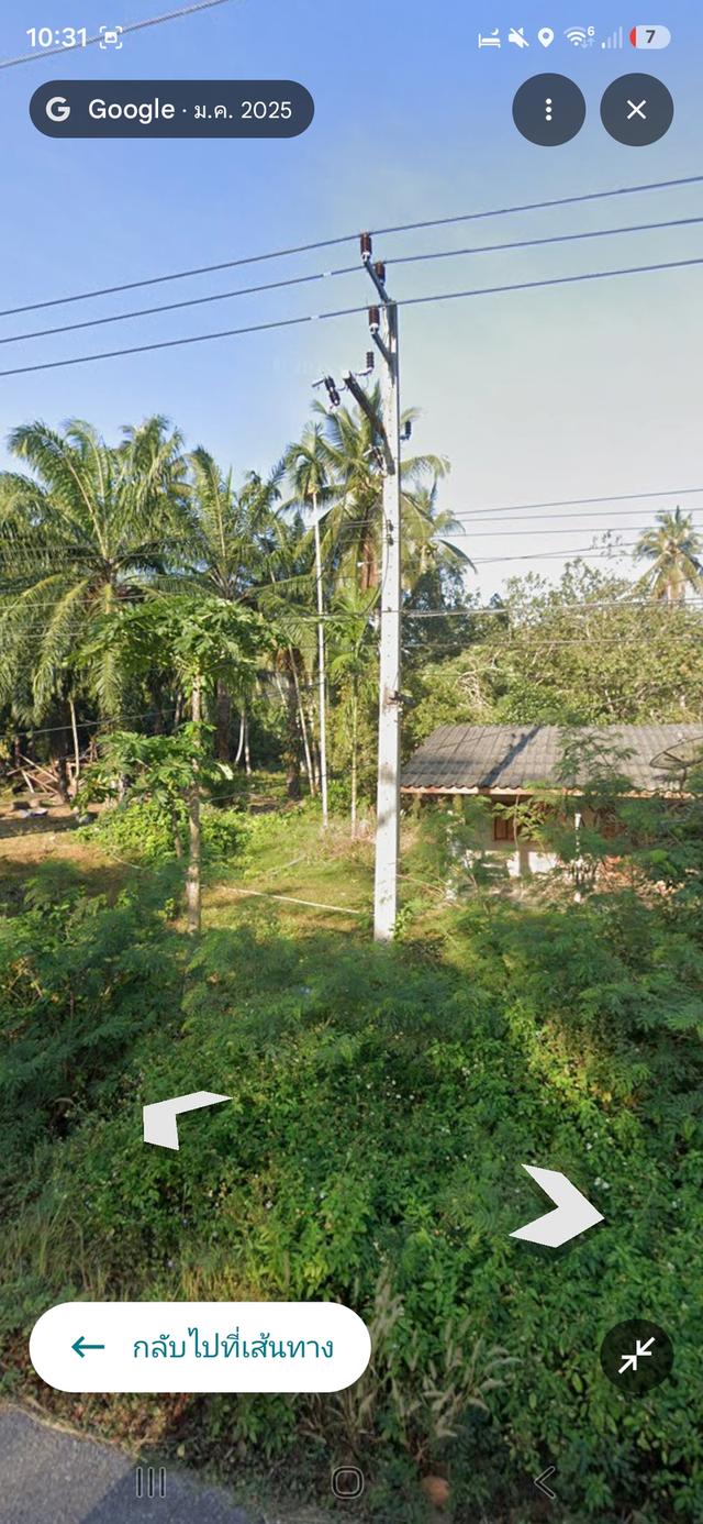 ที่ดินสวนปลามพร้อมสิ่งปลูกสร้าง1หลัง 3