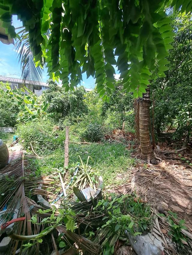 ขายที่ดินถมแล้ว 111 ตรว.ลาดพร้าว-วังหิน ใกล้รถไฟฟ้าสายสีเหลือง โชคชัย4 2