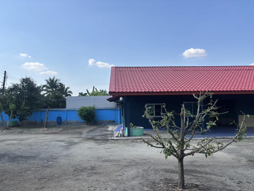 ขายบ้านเดี่ยวสภาพดี 200 ตารางวา อยู่ใกล้ตัวเมืองปากช่อง 17