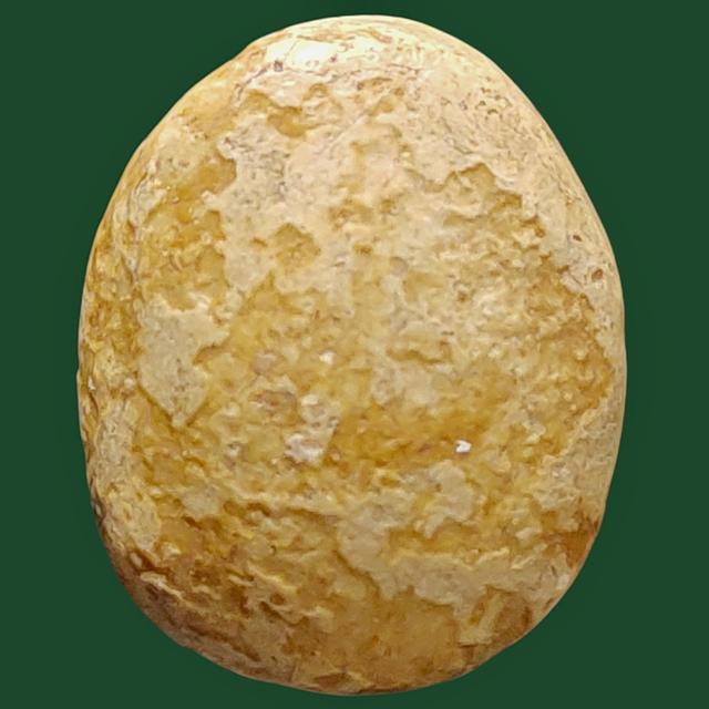 พระปิดตา กรุวัดอัมพวา พิมพ์เม็ดบัว รูปที่ 2