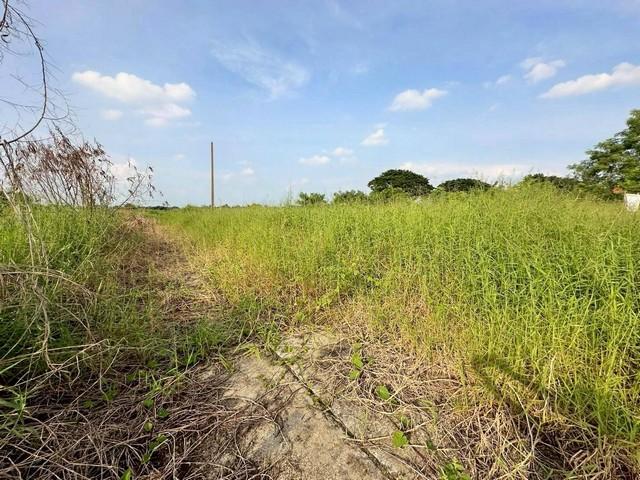 ขายที่ดินเปล่า เนื้อที่ 153 ตารางวา ซอยบึงบอน 3 ถนนเลียบคลอง 8 ตะวันออก ตำบลบึงบอน อำเภอหนองเสือ จังหวัดปทุมธานี 7