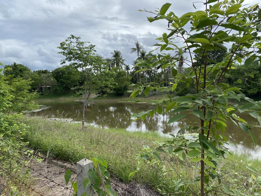 Land plot  2
