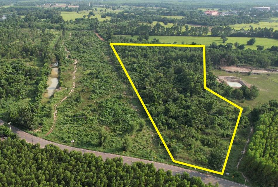 ขายที่ดินศรีมหาโพธิทำเลดี 12 ไร่ ซอยวิทยาลัยบูรพาปราจีน ติดถนนเส้น3016 ใกล้นิคม304-9กม. จ.ปราจีนบุรี 3