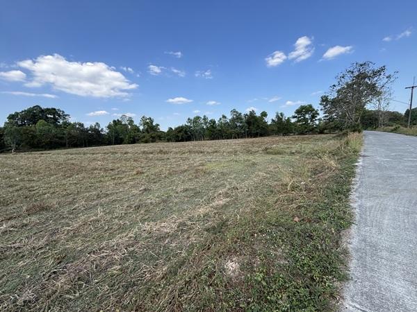 ขายที่ดิน 13 ไร่ 63 ตร.ว. บ้านนา นครนายก ถนนสุวรรณศร ยกแปลก หรือแบ่งก็ได้ โทร 089-7411750 4