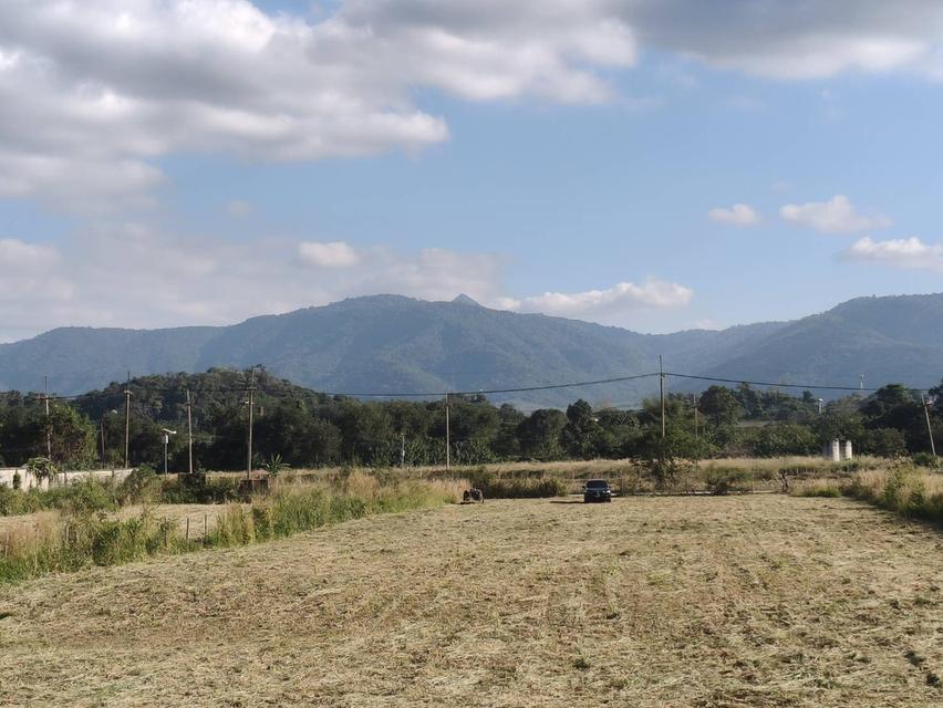 ขายที่ดินเขาใหญ่ หมูสี ที่ติดเขา วิวอุทยานแห่งชาติเขาใหญ่ชัดสวยมาก ท่าช้าง ใกล้ถนนธนะรัชต์ ใกล้เส้น 3052 เดินทางสะดวก ติดลาดยาง ใกล้ร้านค้าตลาด ที่สวย 7