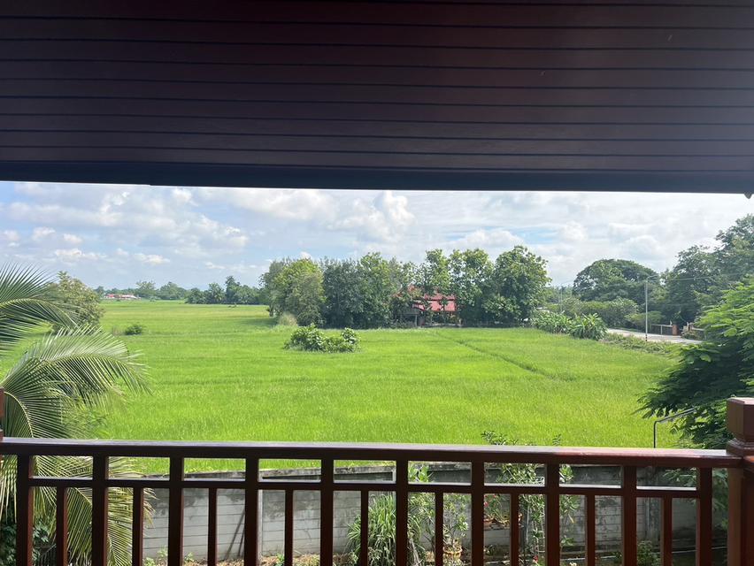 ขายบ้านเดี่ยว 2 ชั้น บ้านกอสะเลียม พร้อมเข้าอยู่ บรรยากาศร่มรื่น ทำเลดี สันกำแพง เชียงใหม่ 4