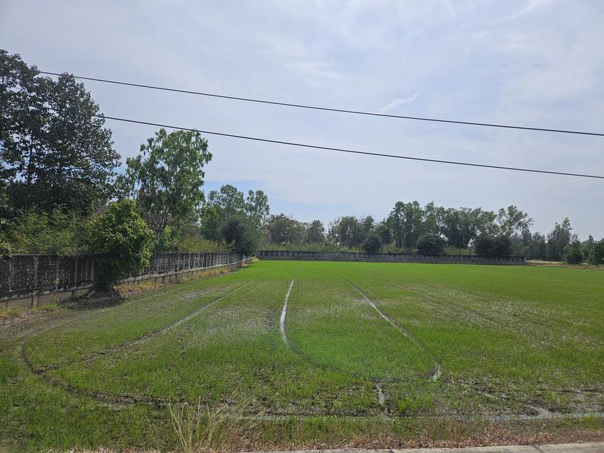 ที่ดินใกล้พระราชวังบางปะอินราคาเพียง 2800 บาทต่อตารางวา จังหวัดพระนครศรีอยุธยา 4