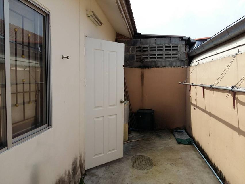 ขายทาวน์เฮ้าส์ชั้นเดียว ราคาไม่ถึงล้าน หมู่บ้านพฤกษาพนาลี 36 ฉะเชิงเทรา 11