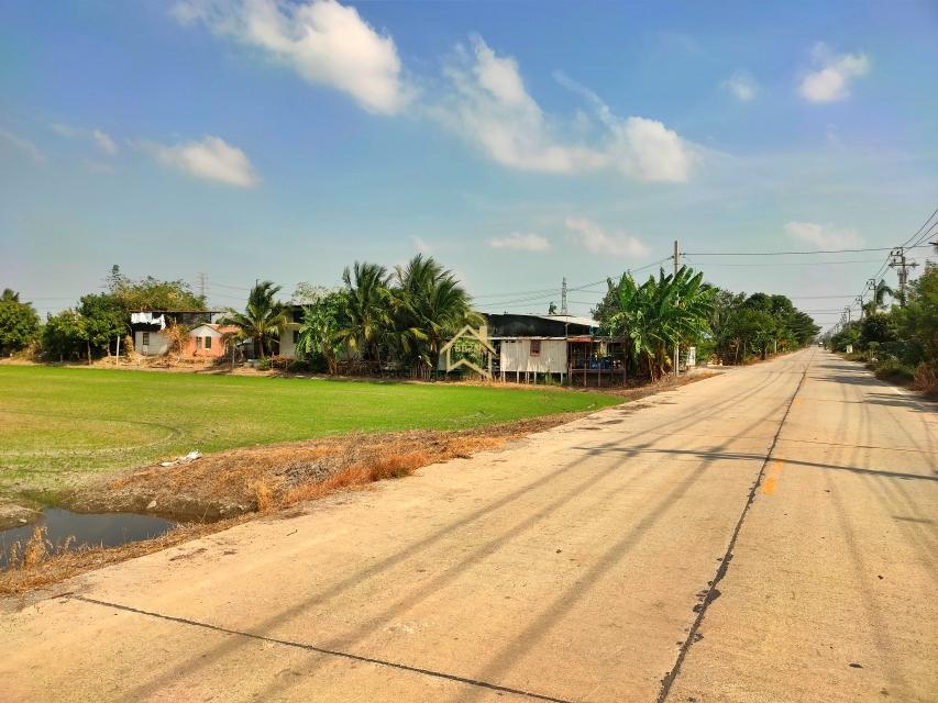 ขาย ที่ดิน 21 ไร่78 ตารางวา อ.ไทรน้อย จ.นนทบุรี ราคาถูกกว่าราคาตลาด 5