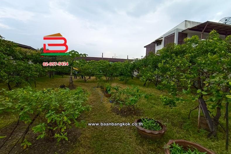 ที่ดินเปล่า เนื้อที่ 144 ตร.ว. ซอยพหลโยธิน 47, ใกล้กรมป่าไม้ แขวงลาดยาว เขตจตุจักร 3