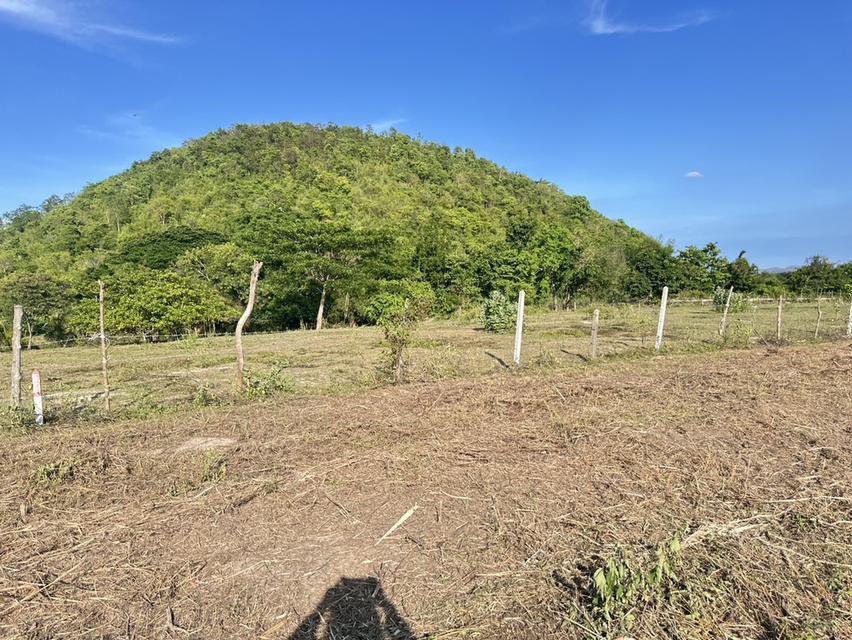 ที่ดิน พุหวาย ชะอำ จ เพชรบุรี ขนาด 6.375 ไร่  13