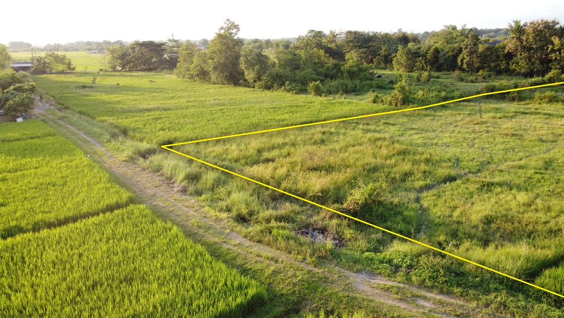 ที่นาพร้อมสระน้ำ 2-1-34 ไร่ วิวดอย ติดถนนสาธารณะ ขยายน้ำ-ไฟไม่ไกล 8
