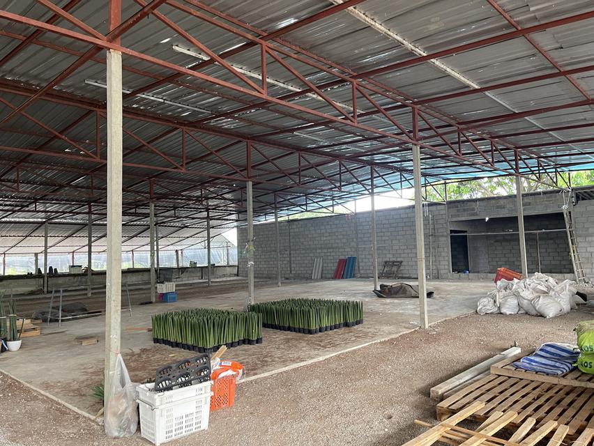 ขายที่ดินสวย ลดราคาพิเศษ พร้อมสิ่งปลูกสร้าง โรงเรือน 9 ไร่ ต.บ้านใหม่ อ.ท่าม่วง จ.กาญจนบุรี 4