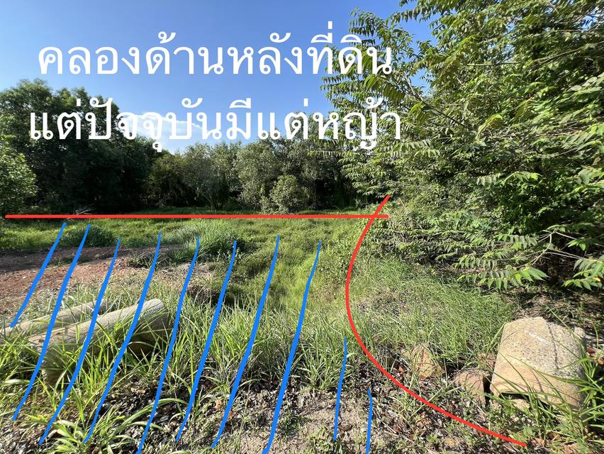 ขายที่ดิน ระยอง อำเภอ แกลง ตำบล ชากโดน เจ้าของขายเอง วัดสมอโพรง 4