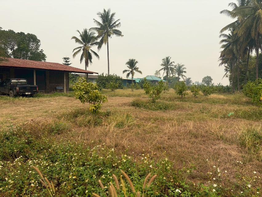 ขายที่ดิน (พร้อมโกดังเก็บของ) รวมเนื้อที่ 2 ไร่ 3งาน  97.3 ตารางวา 2